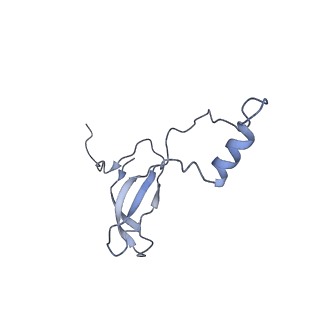 3039_3jah_o_v1-2
Structure of a mammalian ribosomal termination complex with ABCE1, eRF1(AAQ), and the UAG stop codon