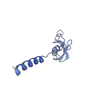 3039_3jah_p_v1-2
Structure of a mammalian ribosomal termination complex with ABCE1, eRF1(AAQ), and the UAG stop codon