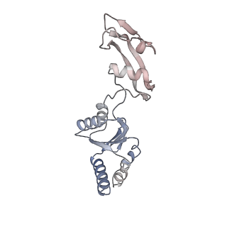 3039_3jah_s_v1-2
Structure of a mammalian ribosomal termination complex with ABCE1, eRF1(AAQ), and the UAG stop codon