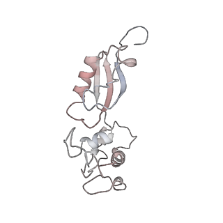 3039_3jah_t_v1-2
Structure of a mammalian ribosomal termination complex with ABCE1, eRF1(AAQ), and the UAG stop codon