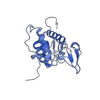 3040_3jai_AA_v1-2
Structure of a mammalian ribosomal termination complex with ABCE1, eRF1(AAQ), and the UGA stop codon