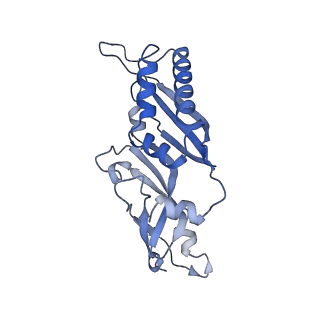 3040_3jai_BB_v1-2
Structure of a mammalian ribosomal termination complex with ABCE1, eRF1(AAQ), and the UGA stop codon