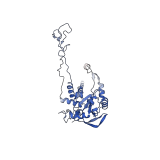 3040_3jai_C_v1-2
Structure of a mammalian ribosomal termination complex with ABCE1, eRF1(AAQ), and the UGA stop codon