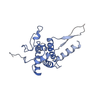 3040_3jai_FF_v1-2
Structure of a mammalian ribosomal termination complex with ABCE1, eRF1(AAQ), and the UGA stop codon