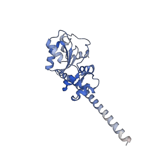 3040_3jai_F_v1-2
Structure of a mammalian ribosomal termination complex with ABCE1, eRF1(AAQ), and the UGA stop codon