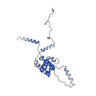 3040_3jai_G_v1-2
Structure of a mammalian ribosomal termination complex with ABCE1, eRF1(AAQ), and the UGA stop codon
