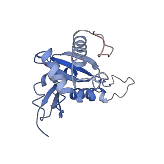 3040_3jai_HH_v1-2
Structure of a mammalian ribosomal termination complex with ABCE1, eRF1(AAQ), and the UGA stop codon