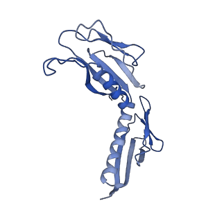 3040_3jai_H_v1-2
Structure of a mammalian ribosomal termination complex with ABCE1, eRF1(AAQ), and the UGA stop codon