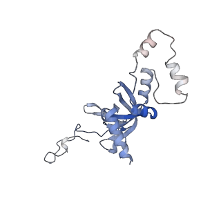 3040_3jai_II_v1-2
Structure of a mammalian ribosomal termination complex with ABCE1, eRF1(AAQ), and the UGA stop codon