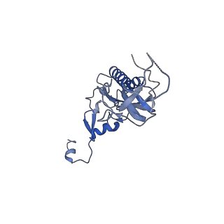 3040_3jai_I_v1-2
Structure of a mammalian ribosomal termination complex with ABCE1, eRF1(AAQ), and the UGA stop codon