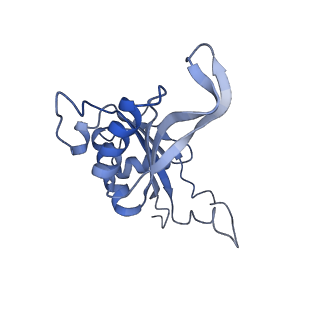 3040_3jai_J_v1-2
Structure of a mammalian ribosomal termination complex with ABCE1, eRF1(AAQ), and the UGA stop codon