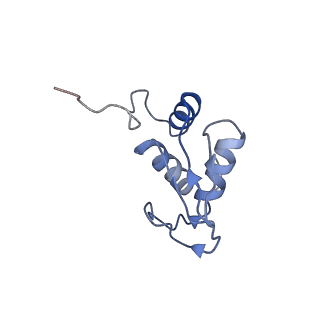 3040_3jai_KK_v1-2
Structure of a mammalian ribosomal termination complex with ABCE1, eRF1(AAQ), and the UGA stop codon