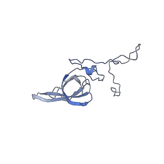 3040_3jai_LL_v1-2
Structure of a mammalian ribosomal termination complex with ABCE1, eRF1(AAQ), and the UGA stop codon