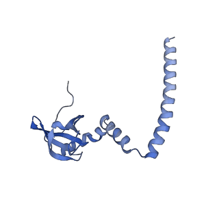 3040_3jai_M_v1-2
Structure of a mammalian ribosomal termination complex with ABCE1, eRF1(AAQ), and the UGA stop codon