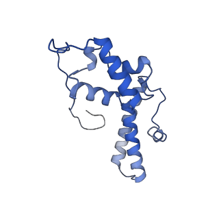 3040_3jai_NN_v1-2
Structure of a mammalian ribosomal termination complex with ABCE1, eRF1(AAQ), and the UGA stop codon