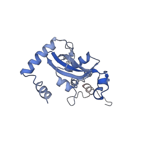3040_3jai_N_v1-2
Structure of a mammalian ribosomal termination complex with ABCE1, eRF1(AAQ), and the UGA stop codon