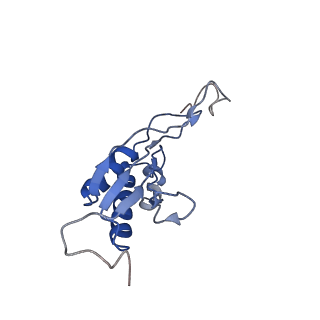 3040_3jai_OO_v1-2
Structure of a mammalian ribosomal termination complex with ABCE1, eRF1(AAQ), and the UGA stop codon