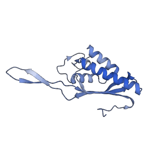 3040_3jai_P_v1-2
Structure of a mammalian ribosomal termination complex with ABCE1, eRF1(AAQ), and the UGA stop codon