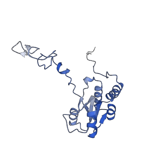 3040_3jai_Q_v1-2
Structure of a mammalian ribosomal termination complex with ABCE1, eRF1(AAQ), and the UGA stop codon