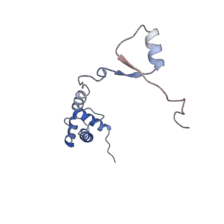 3040_3jai_RR_v1-2
Structure of a mammalian ribosomal termination complex with ABCE1, eRF1(AAQ), and the UGA stop codon