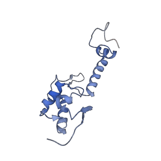 3040_3jai_SS_v1-2
Structure of a mammalian ribosomal termination complex with ABCE1, eRF1(AAQ), and the UGA stop codon