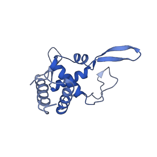 3040_3jai_TT_v1-2
Structure of a mammalian ribosomal termination complex with ABCE1, eRF1(AAQ), and the UGA stop codon