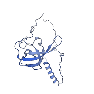 3040_3jai_T_v1-2
Structure of a mammalian ribosomal termination complex with ABCE1, eRF1(AAQ), and the UGA stop codon