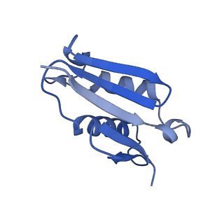 3040_3jai_U_v1-2
Structure of a mammalian ribosomal termination complex with ABCE1, eRF1(AAQ), and the UGA stop codon