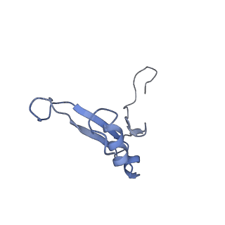 3040_3jai_VV_v1-2
Structure of a mammalian ribosomal termination complex with ABCE1, eRF1(AAQ), and the UGA stop codon