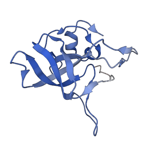 3040_3jai_V_v1-2
Structure of a mammalian ribosomal termination complex with ABCE1, eRF1(AAQ), and the UGA stop codon