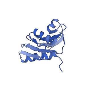 3040_3jai_WW_v1-2
Structure of a mammalian ribosomal termination complex with ABCE1, eRF1(AAQ), and the UGA stop codon