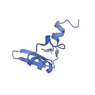 3040_3jai_W_v1-2
Structure of a mammalian ribosomal termination complex with ABCE1, eRF1(AAQ), and the UGA stop codon