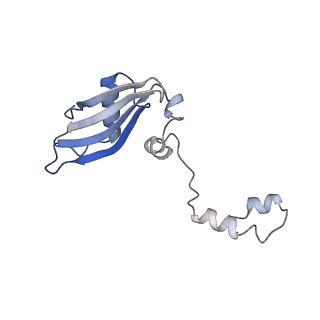 3040_3jai_YY_v1-2
Structure of a mammalian ribosomal termination complex with ABCE1, eRF1(AAQ), and the UGA stop codon