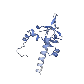 3040_3jai_Y_v1-2
Structure of a mammalian ribosomal termination complex with ABCE1, eRF1(AAQ), and the UGA stop codon