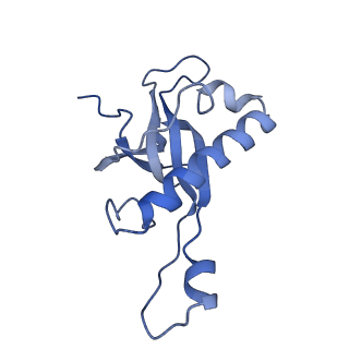 3040_3jai_Z_v1-2
Structure of a mammalian ribosomal termination complex with ABCE1, eRF1(AAQ), and the UGA stop codon
