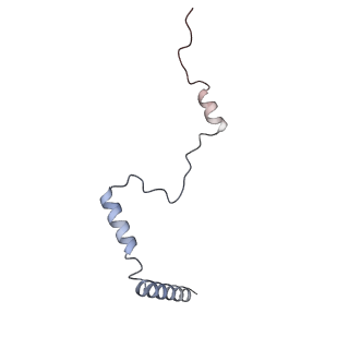 3040_3jai_b_v1-2
Structure of a mammalian ribosomal termination complex with ABCE1, eRF1(AAQ), and the UGA stop codon