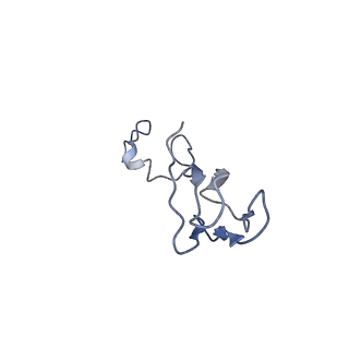 3040_3jai_bb_v1-2
Structure of a mammalian ribosomal termination complex with ABCE1, eRF1(AAQ), and the UGA stop codon