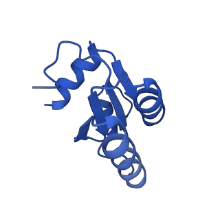 3040_3jai_c_v1-2
Structure of a mammalian ribosomal termination complex with ABCE1, eRF1(AAQ), and the UGA stop codon