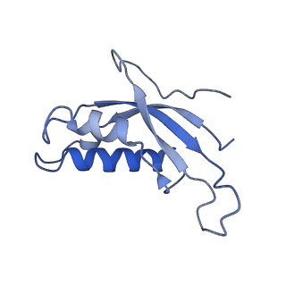 3040_3jai_d_v1-2
Structure of a mammalian ribosomal termination complex with ABCE1, eRF1(AAQ), and the UGA stop codon