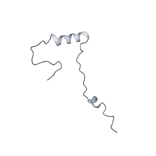 3040_3jai_ee_v1-2
Structure of a mammalian ribosomal termination complex with ABCE1, eRF1(AAQ), and the UGA stop codon