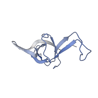 3040_3jai_f_v1-2
Structure of a mammalian ribosomal termination complex with ABCE1, eRF1(AAQ), and the UGA stop codon