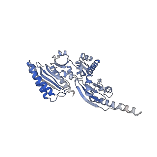 3040_3jai_ii_v1-2
Structure of a mammalian ribosomal termination complex with ABCE1, eRF1(AAQ), and the UGA stop codon