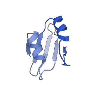 3040_3jai_k_v1-2
Structure of a mammalian ribosomal termination complex with ABCE1, eRF1(AAQ), and the UGA stop codon