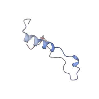 3040_3jai_l_v1-2
Structure of a mammalian ribosomal termination complex with ABCE1, eRF1(AAQ), and the UGA stop codon