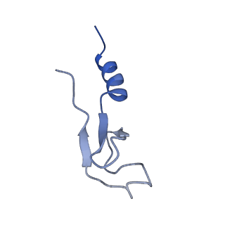 3040_3jai_m_v1-2
Structure of a mammalian ribosomal termination complex with ABCE1, eRF1(AAQ), and the UGA stop codon
