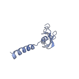 3040_3jai_p_v1-2
Structure of a mammalian ribosomal termination complex with ABCE1, eRF1(AAQ), and the UGA stop codon