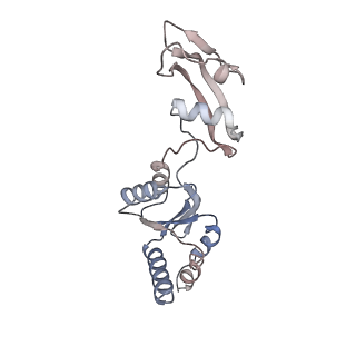 3040_3jai_s_v1-2
Structure of a mammalian ribosomal termination complex with ABCE1, eRF1(AAQ), and the UGA stop codon