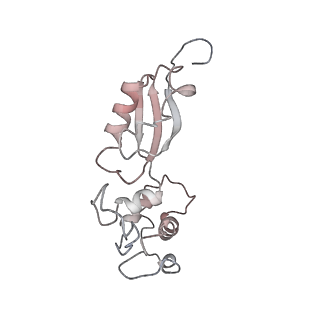 3040_3jai_t_v1-2
Structure of a mammalian ribosomal termination complex with ABCE1, eRF1(AAQ), and the UGA stop codon