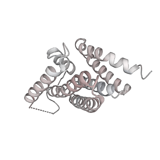3045_3jan_6_v1-1
Structure of the scanning state of the mammalian SRP-ribosome complex
