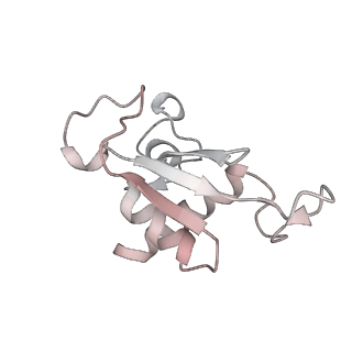 3045_3jan_9_v1-1
Structure of the scanning state of the mammalian SRP-ribosome complex